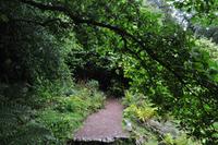 Killerton House