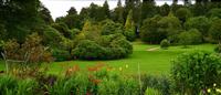 Killerton House