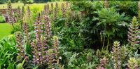 Killerton House