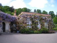 Killerton House