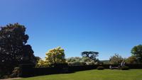 Knighthayes Court 20180514 144831