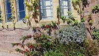 Knighthayes Court 20180514 144953
