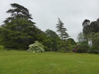 Knightshayes Court