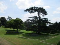 Knightshayes Court