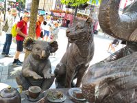 Koala und Tiger