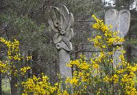 Kunst und Natur