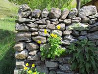 Lake District