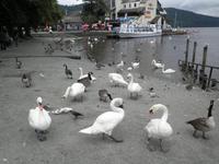 Lake Windermere