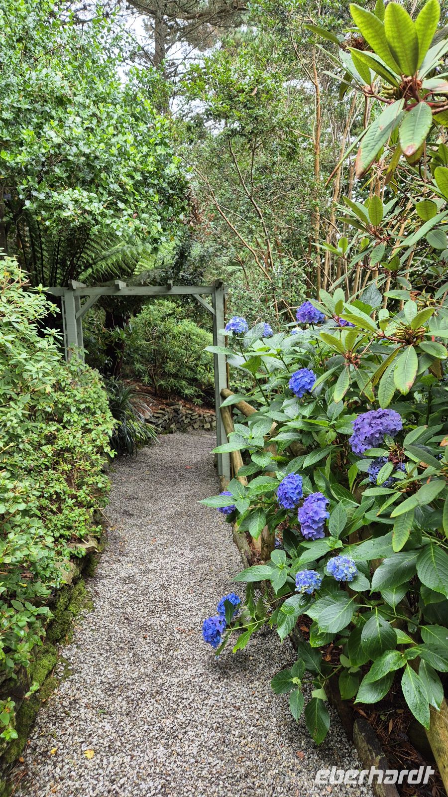 Lamorran Garden