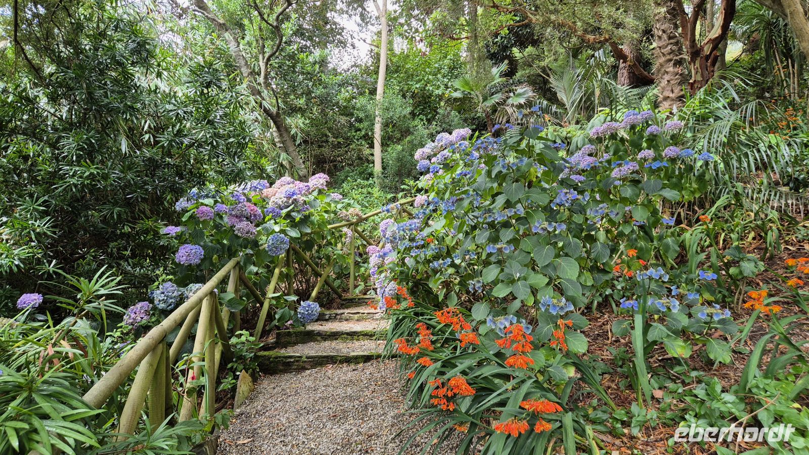 Lamorran Garden