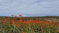 Land's End