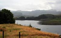 Landschaft am Wegesrand