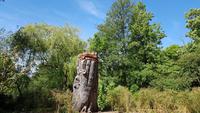 Leeds Castle 20180511 123415