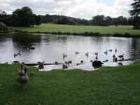 Leeds Castle and Gardens