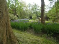 Leeds Castle