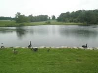 Leeds Castle