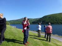 Llanberis Lake
