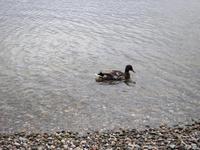 Loch Lomond