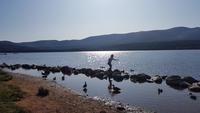 Loch Morlich