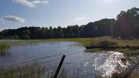 Loch Pityoulish
