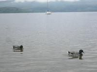 Luss Loch Lomond