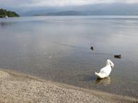 Luss Loch Lomond