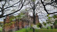Melrose Abbey im Frühling