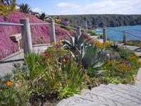 Minack Theatre