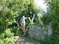 Moelfre