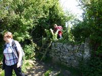 Moelfre