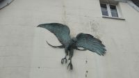 Mortonhampstead- der Sperber 