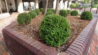 Natur rund um unser Hotel am Tower