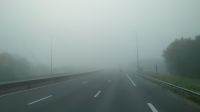 Nebel auf dem Weg zur Fähre.JPG
