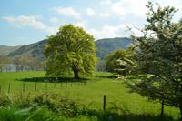North Lakes