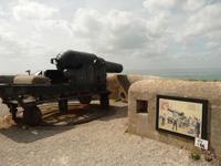 Old Battery