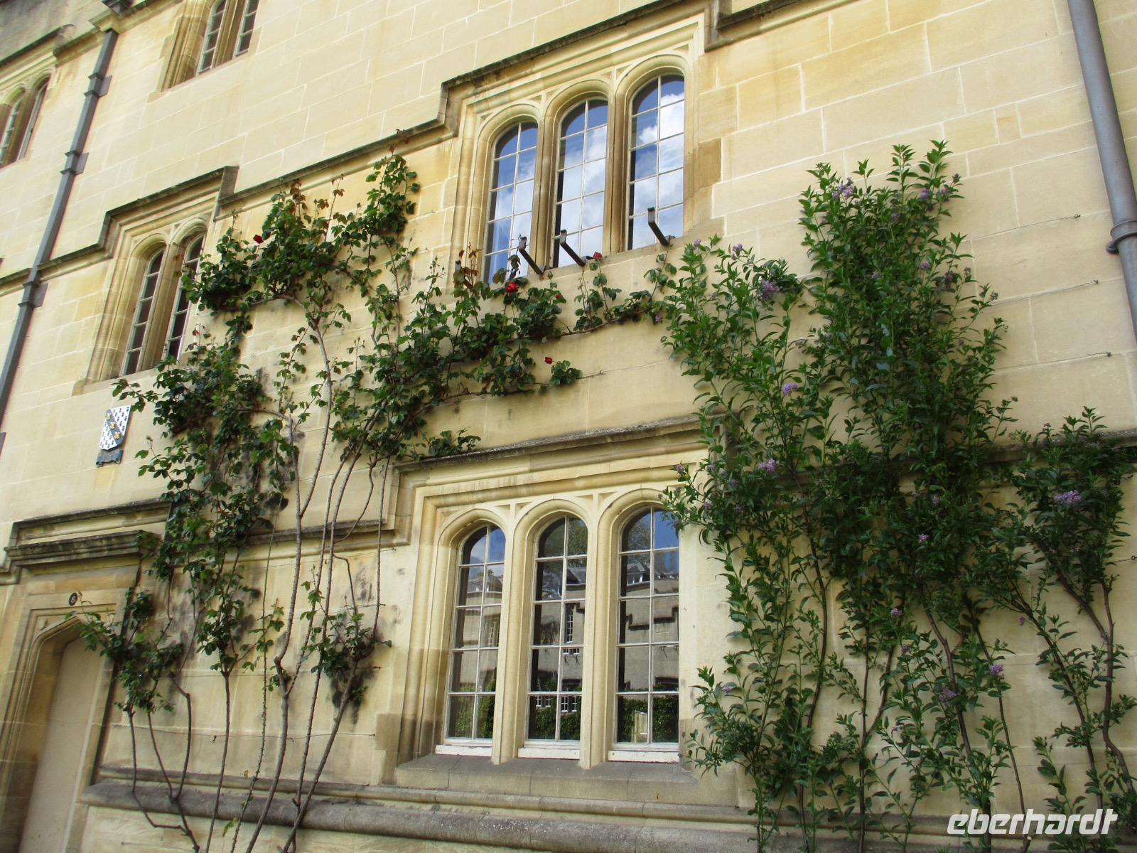 Oxford