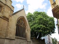 Oxford