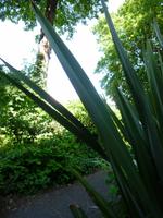 Park in Brighton