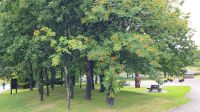 Pause in der Speyside Cooperage 20230802 134637