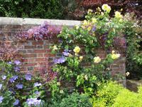 Penshurst Place