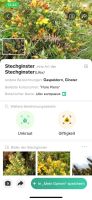 Pflanzenvielfalt...