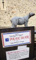 Polarbär im Tower