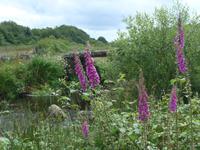 Postbridge