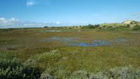 Rabjerg Mile Skagen  20170821_105811