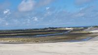 Rabjerg Mile Skagen 20170821_112149