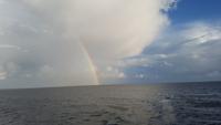 Regenbogen am Abend 20170820_194004