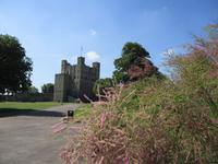 Rochester