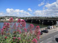 Rochester