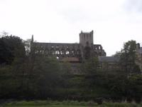 Ruine der imposanten Jedburgh Abbey