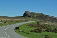 Südengland - Dartmoor - Hay Tor